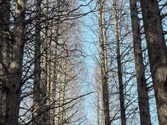 -同里国家湿地公园