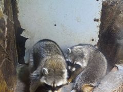 -华夏文旅西安度假区