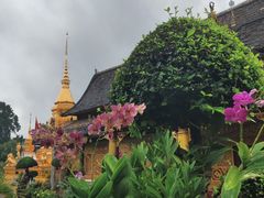 -西双版纳傣族园-曼春满佛寺