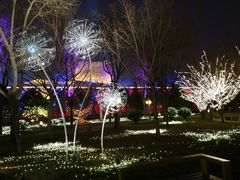 -唐城墙遗址公园