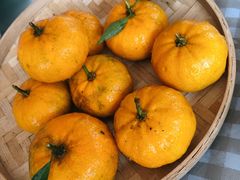 -竹庄餐馆·26年店(南昆山景区店)