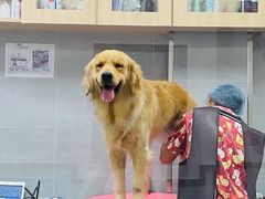 -宠福鑫康馨动物医院·骨科·眼科