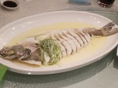 -同济大酒店(绿宝广场店)