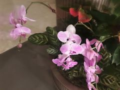 -芭莉与彩虹西餐厅(成都合生汇店)