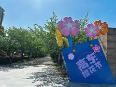 -高东镇樱花园