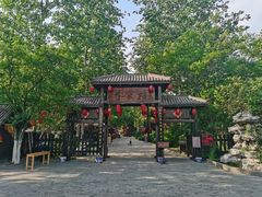 -合肥滨湖国家森林公园