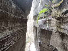 -梭布垭石林景区