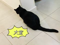 -YECLIP COFFEE黄色回形针咖啡