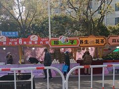 -高东镇樱花园
