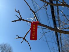 -北京凤凰岭