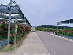 -栖露营camping·天幕烧烤·团建拓展·采摘营地