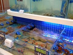 -大众海鲜(巨龙北路店)