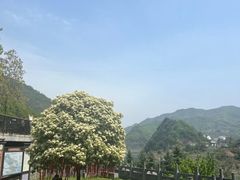 -北五省会馆