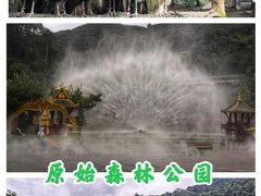 -西双版纳原始森林公园