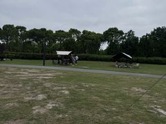 -春花秋色城市公园