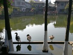 -东莞市可园博物馆