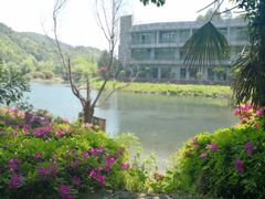 -宁波五龙潭景区