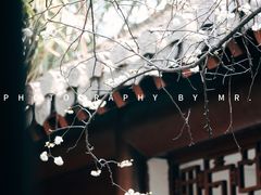 -钱王祠