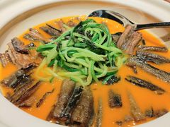 -喜湘宴·精致湖南菜(和平西桥店)