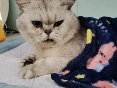 -达爱动物医院·犬猫分区·CT·复杂眼科(远洋山水分院)