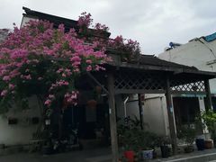 -三林塘老街