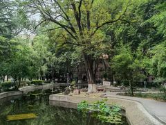 -陕西师范大学(雁塔校区)