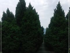 -秦始皇帝陵博物院-丽山园