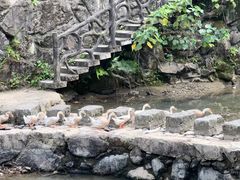 -泽雅景区