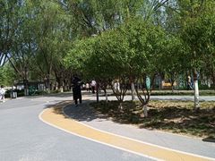 -东坝千亩湖公园