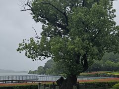 -东钱湖旅游度假区