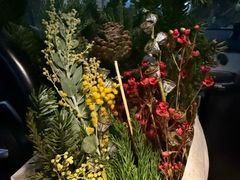 -昆山城市生态森林公园