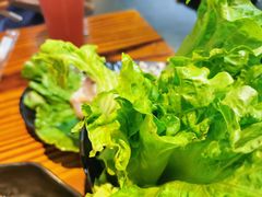 生菜-丹东特色烤肉(学府路一部店)