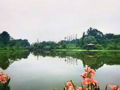 -桤木河湿地公园