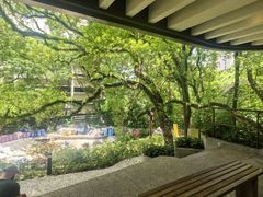 -香港大学