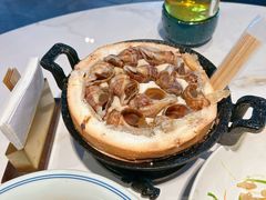 -滋粥楼·顺德菜(番禺广场总店)