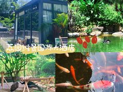 -南宁荔园维景国际酒店·荔园中餐厅