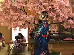 -汤泉良子(金源店)