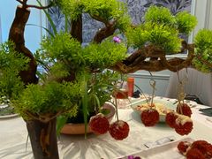 -春暖花开(西溪店)