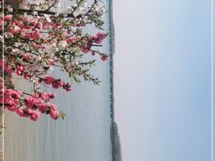 -丁香湖公园