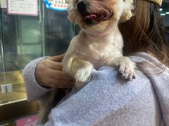 -FAELING PETS美天灵宠物(富力广场店)