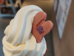 -麦当劳(农光里店)