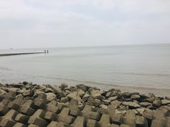 -瀛洲公园