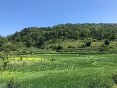 -高荡千年布依古寨旅游景区