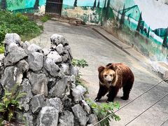 -成都动物园