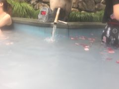 -宁海森林温泉