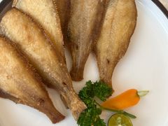 -子霖南山鲜虾面(南山总店)