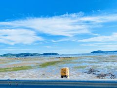 -大长山岛