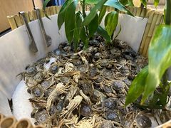 -川骄海鲜自助(亚运村店)