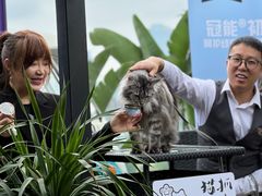 -猫抓烤肉(春熙路店)