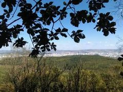 -帽儿山国家森林公园